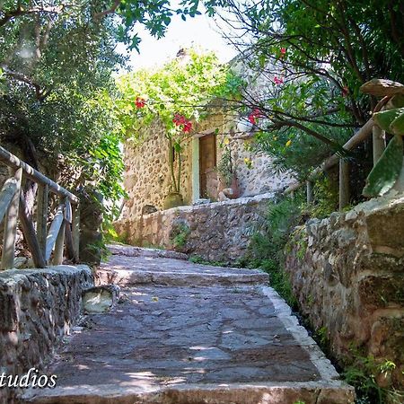 Cretan Minoan Apartments Káto Zákros Exterior foto